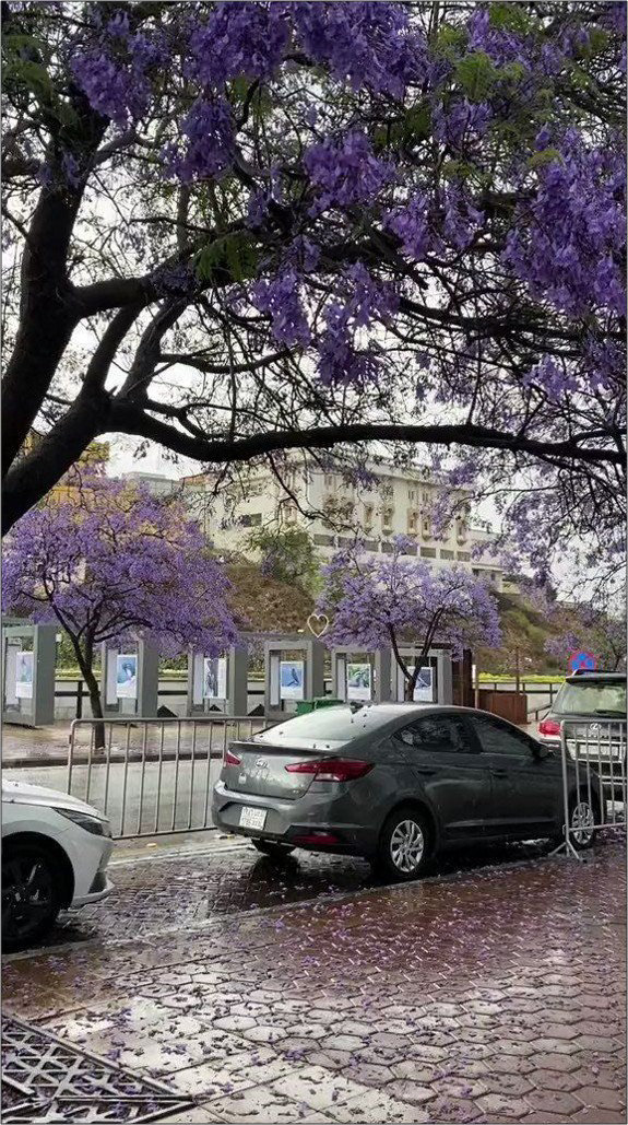 加油站案例研究丨沙特阿拉伯-10