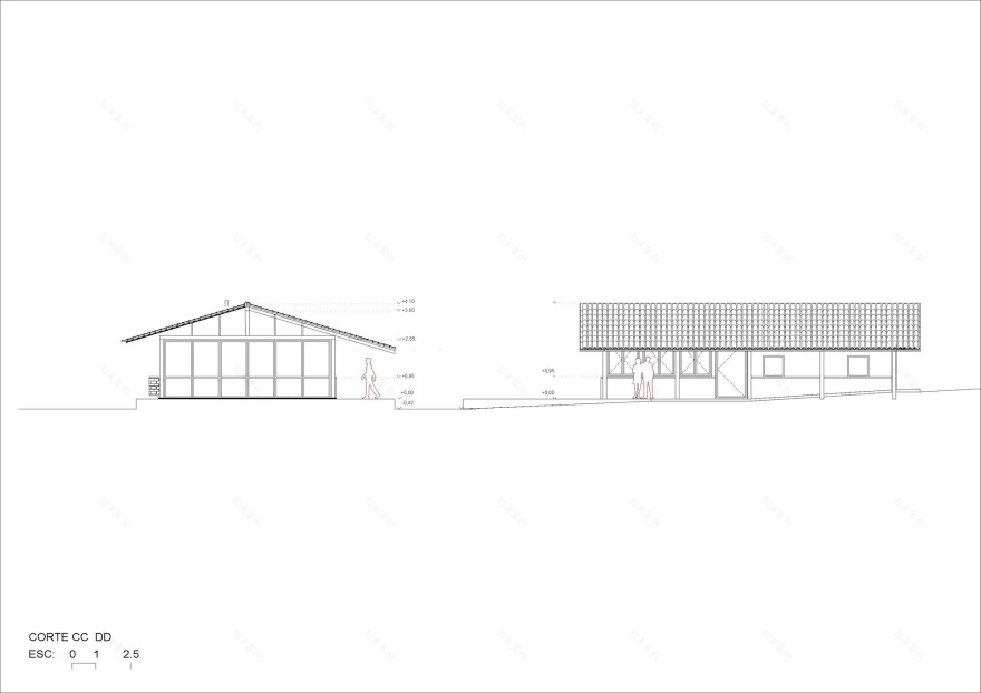 丨巴西丨messina | rivas-56