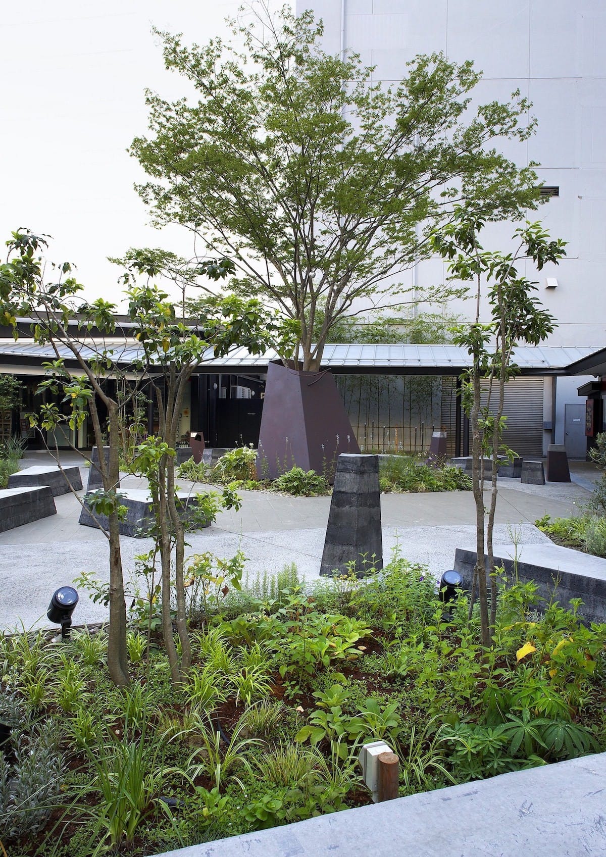 日本伊甸园风景谷丨1moku-7