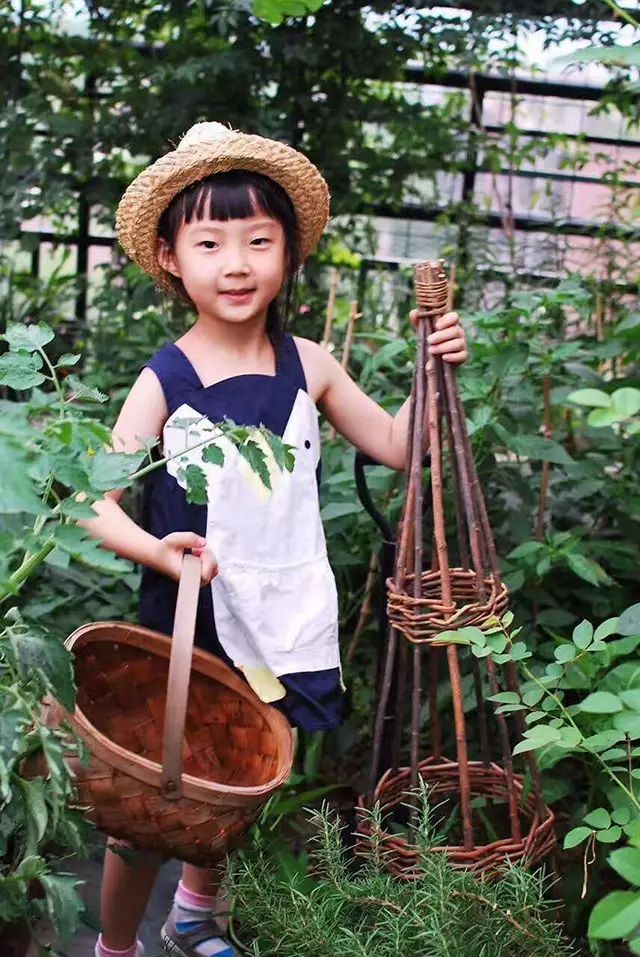 她在楼顶悄悄建了一座梦想花园，美翻了！这才是把日子过成诗的样子-98
