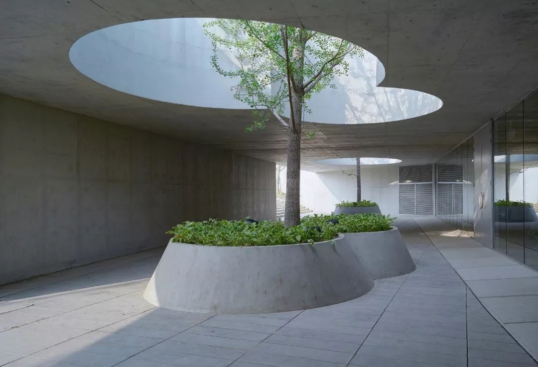 融于自然的园林秘境 | 未来科技城公园访客中心-37