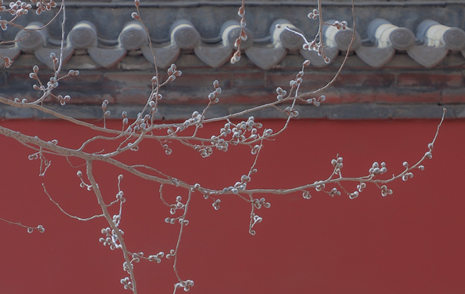 沈阳润樾府 115 户型样板房丨中国沈阳丨万景百年室内设计-3