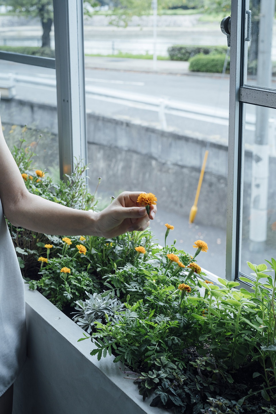 Little Witch Lab 饰品工作室丨日本广岛丨FATHOM-34