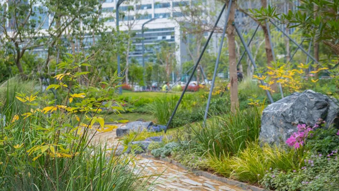 深圳智见·云上 · 科技与自然融合的社区公园丨中国深圳丨林俊英景观工作室,深圳市造源景观旅游规划设计有限公司-134