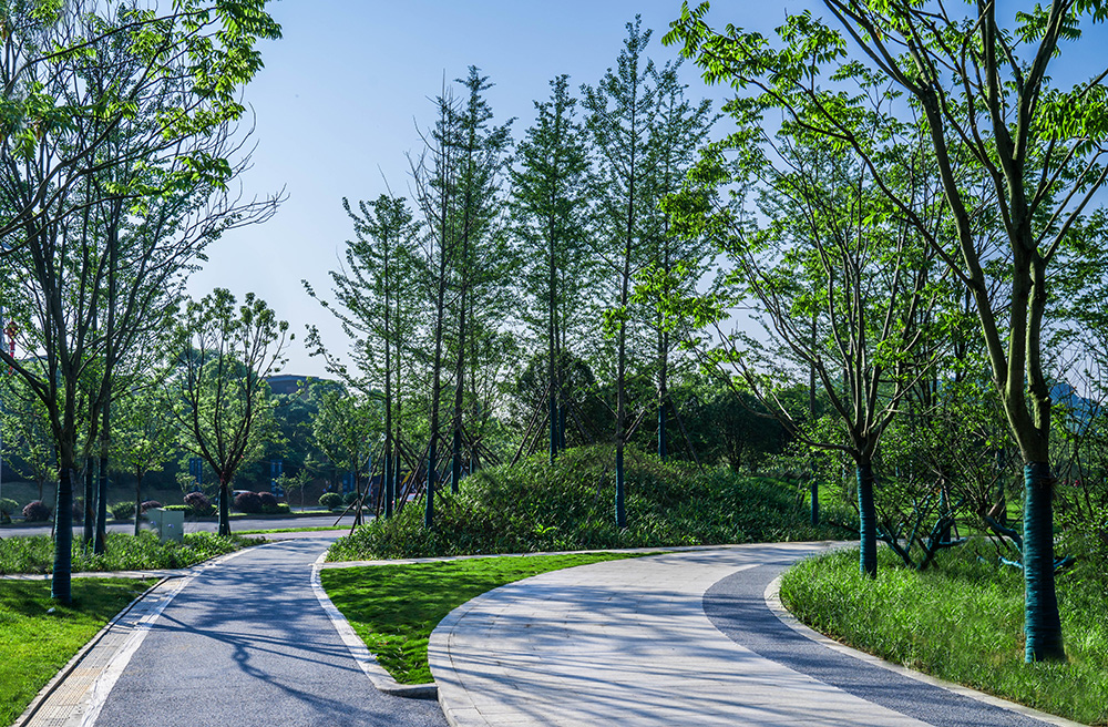 长沙金霞风光带及鹅山公园丨中国长沙丨L&A设计集团上海分公司-36