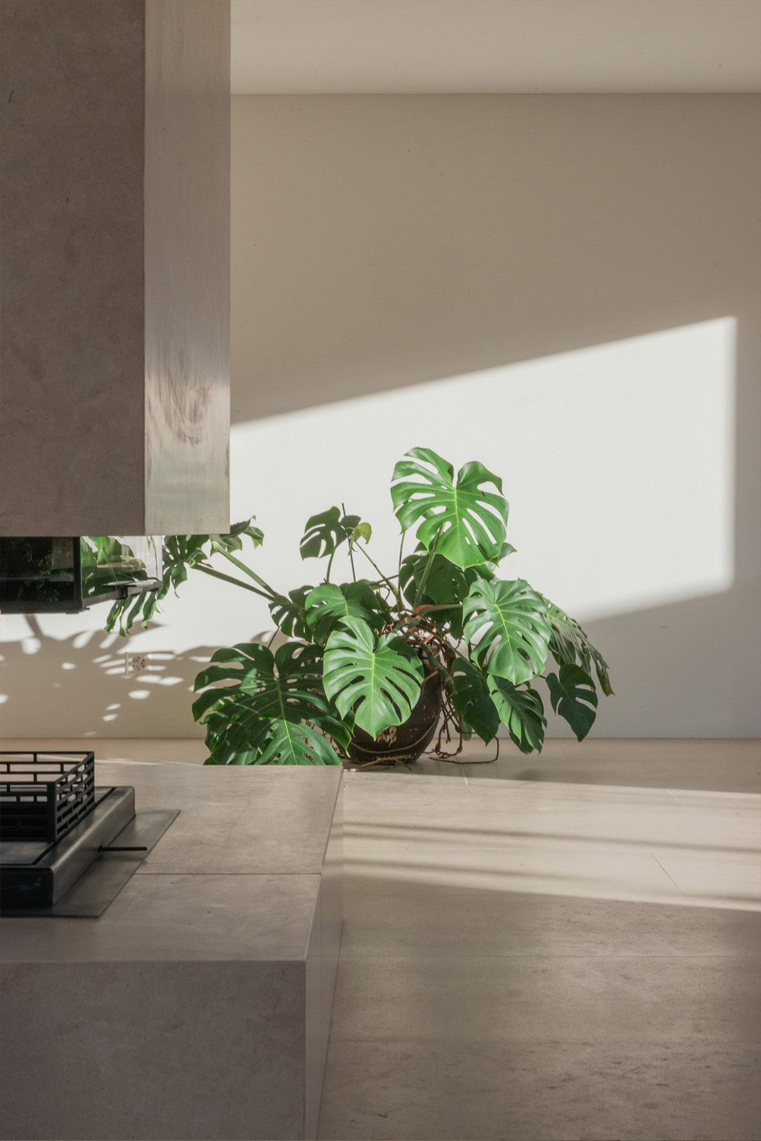 带有三个花园的房子丨Allen + Crippa-21