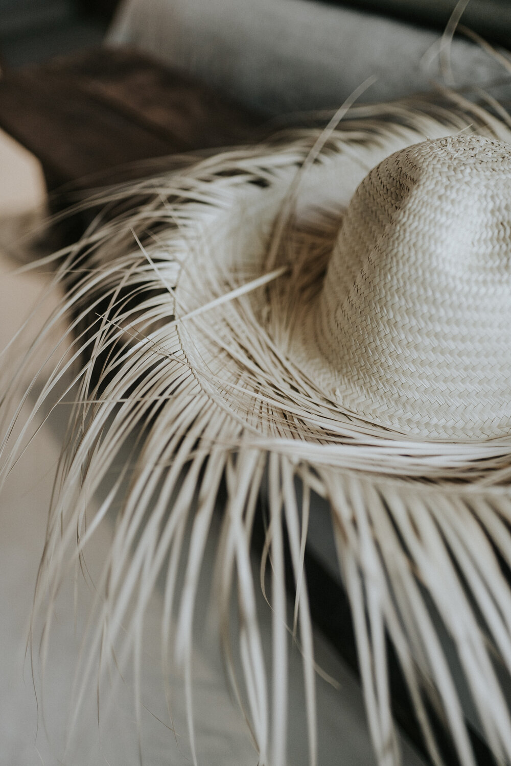 Fosil Tulum 住宅综合体丨墨西哥丨Terreo 工作室-5