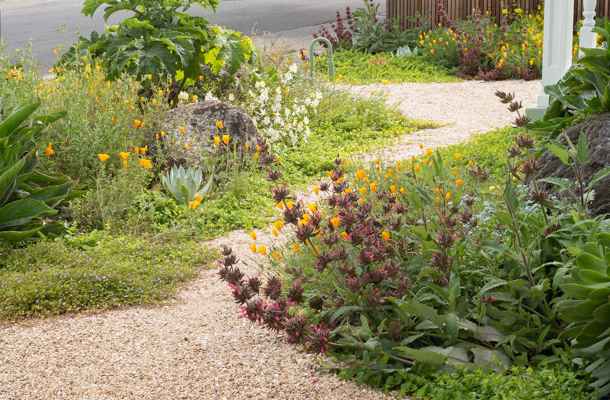 身边风景 | Soft Studio-18