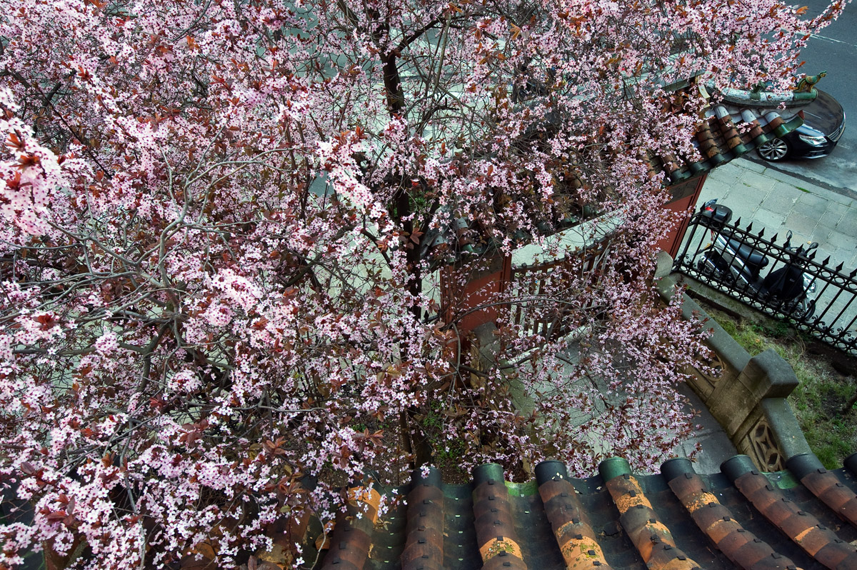 巴黎 CT LOO 塔丨法国巴黎丨Jacopo Brancati 和 Sylvie Noirbusson-8