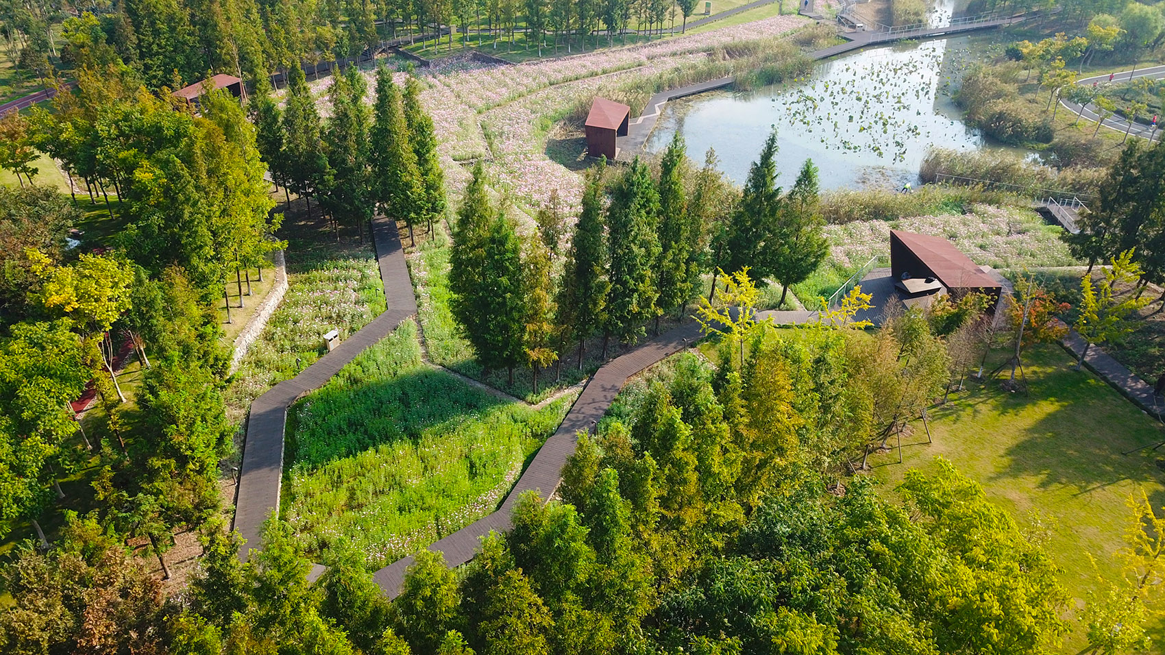 合辑：俞孔坚&土人设计经典项目回顾-83