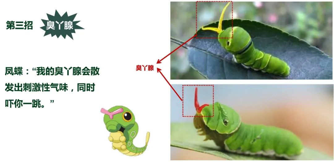 与自然和谐共生的茏腾生态馆-13