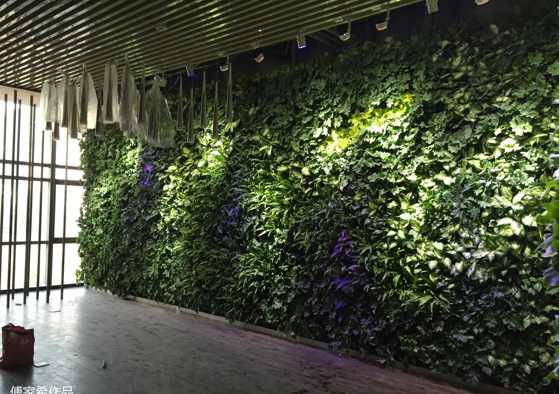 
西安国际美术城 办公室 植物墙 -4