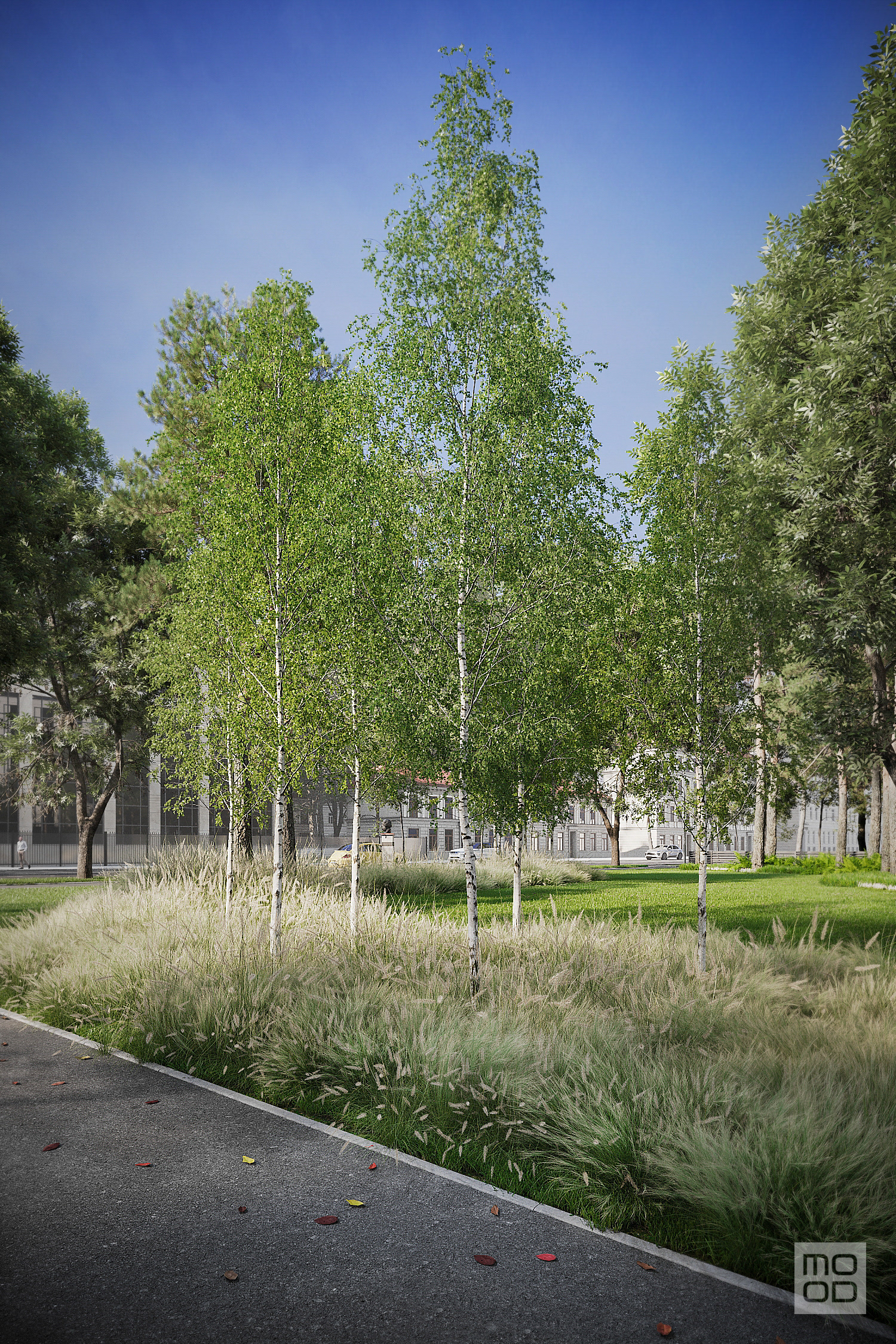 BODONI Square Park-4