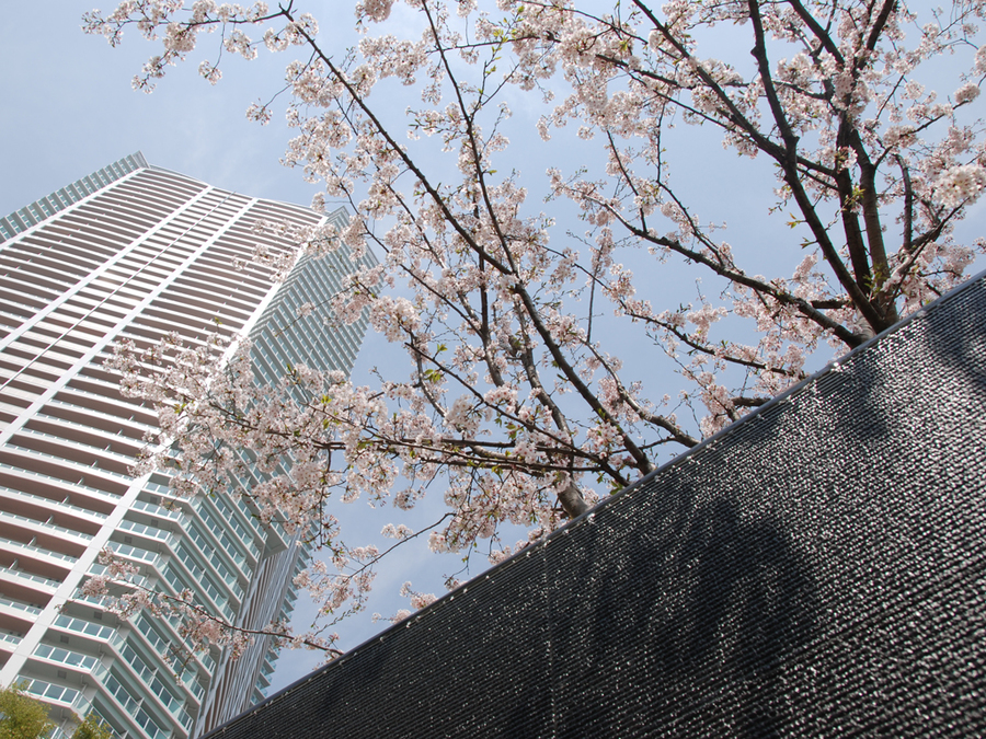 URBAN DOCK PARK CITY TOYOSU景观-1