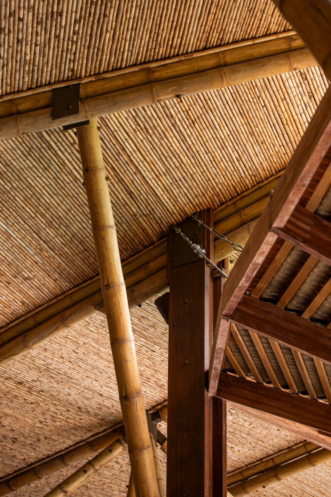 Aguas Claras酒店餐厅和瑜伽馆丨哥斯达黎加丨Studio Saxe-130