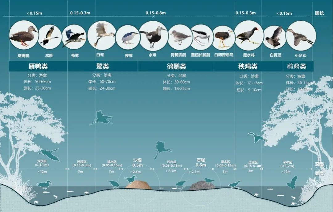 海珠湿地生物多样性保护修复工程丨中国广州丨广州市城市规划勘测设计研究院-43