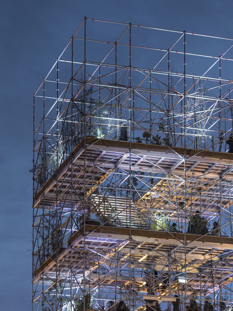 罗马尼亚蒂米什瓦拉垂直绿化奇迹-28