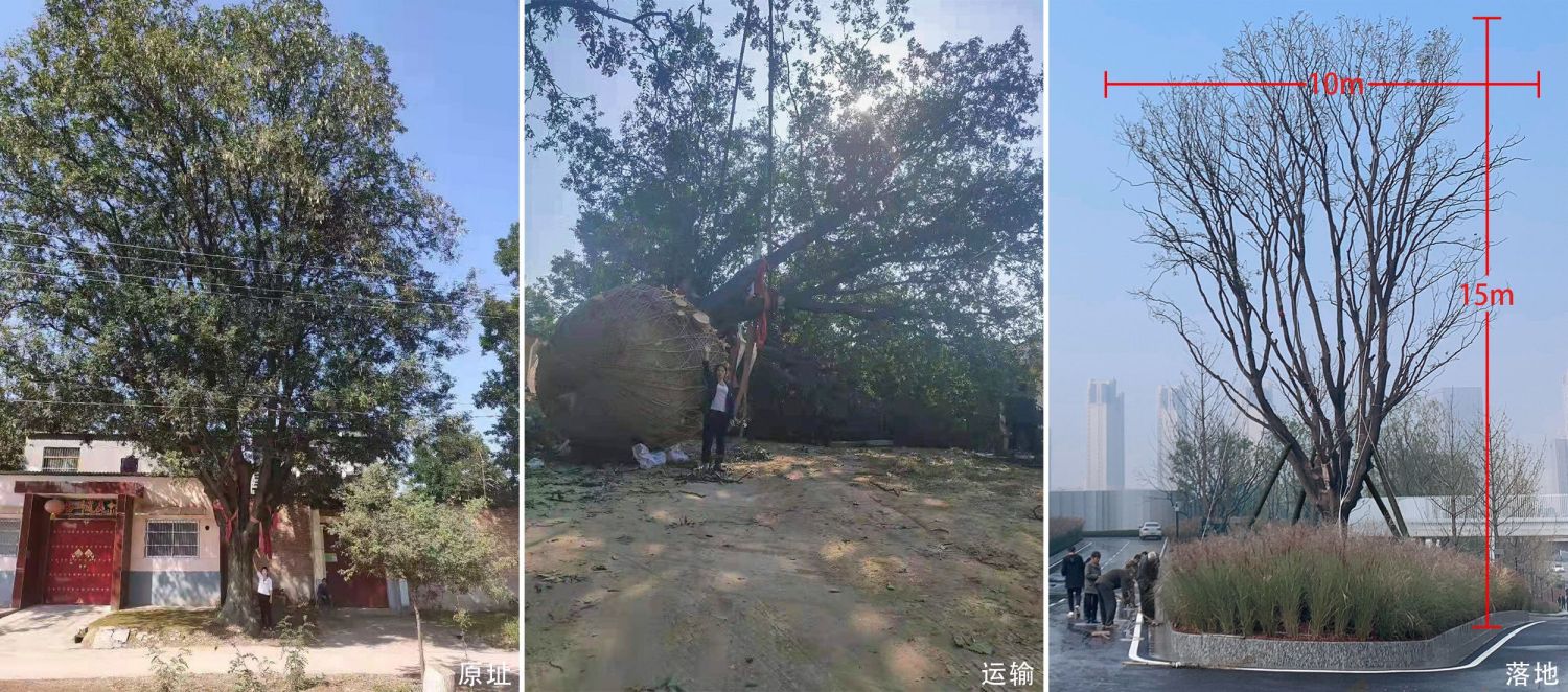  魏玛景观丨西安融创曲江印景观设计 丨中国西安-19