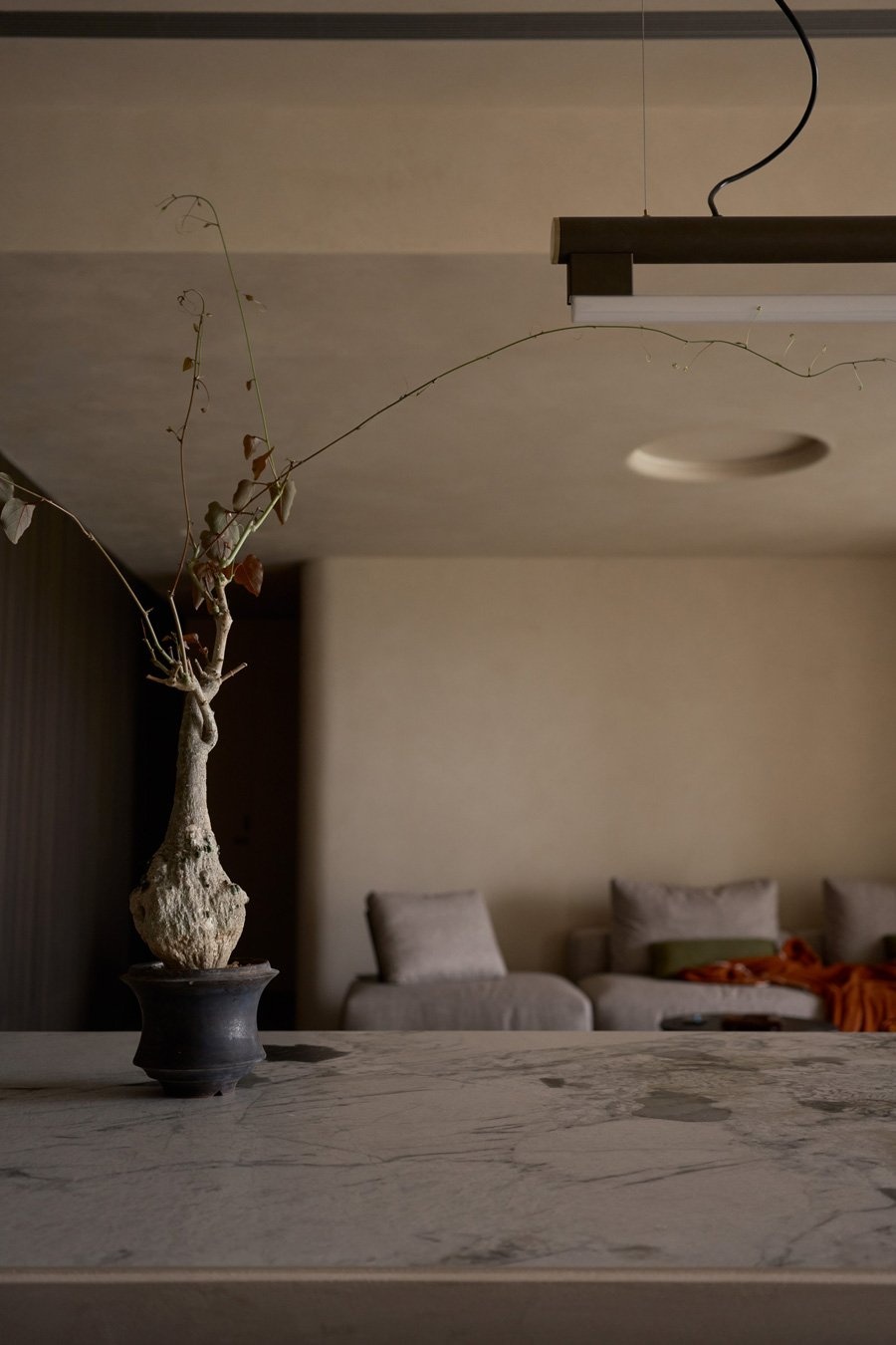 解构人猫共生的无界哲学-32