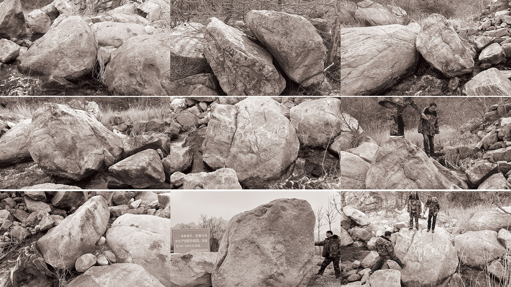 昆嵛山国家级自然保护区林场建立80周年纪念雕塑（烟台金刚碑）丨中国烟台丨大小景观-49