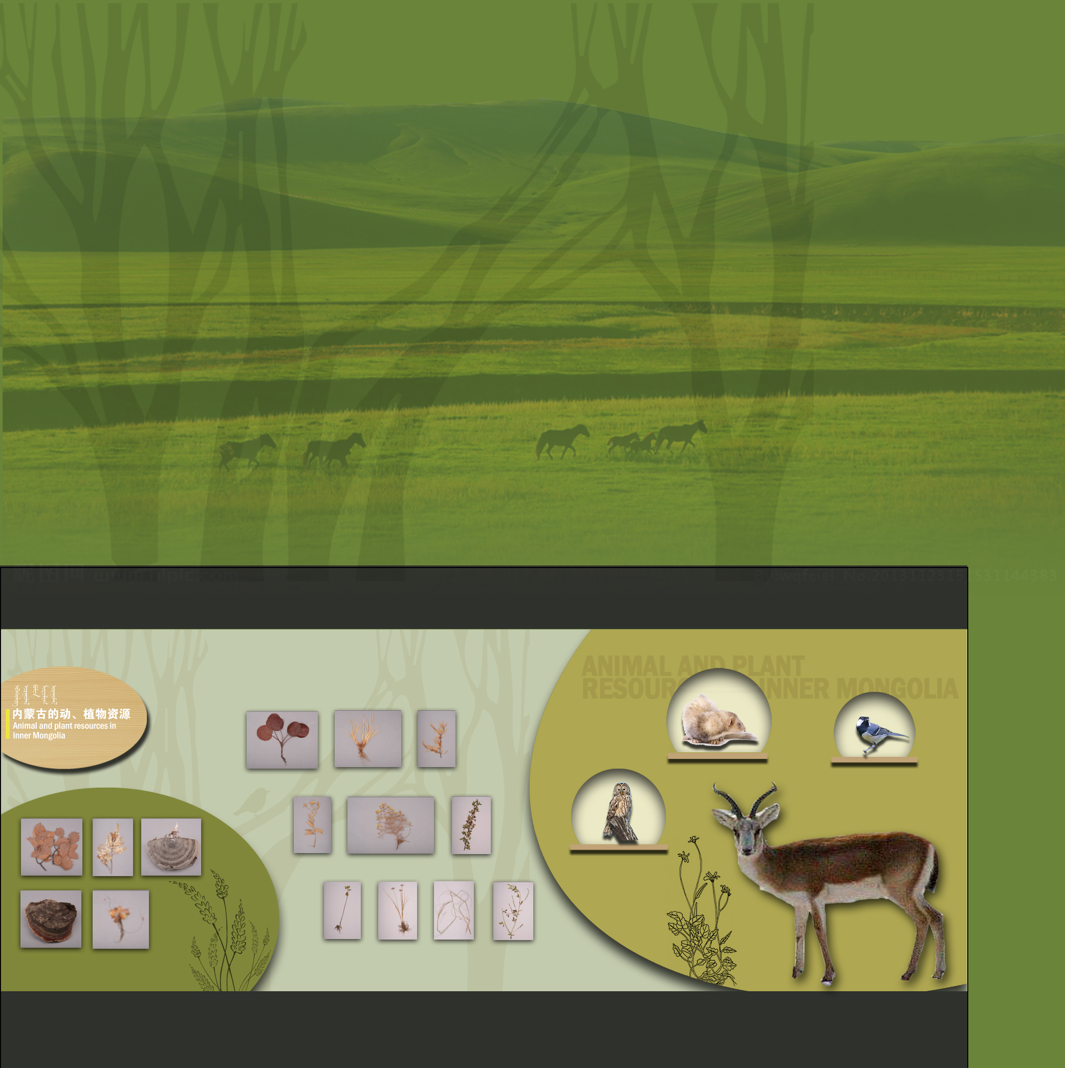 内蒙博物院投标效果图-3