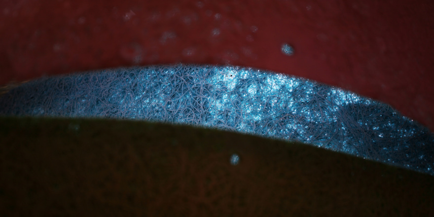 丨日本东京丨Florian Busch Architects-4