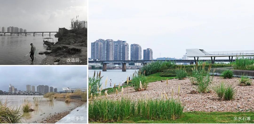 兰溪金角滩公园丨中国浙江-15