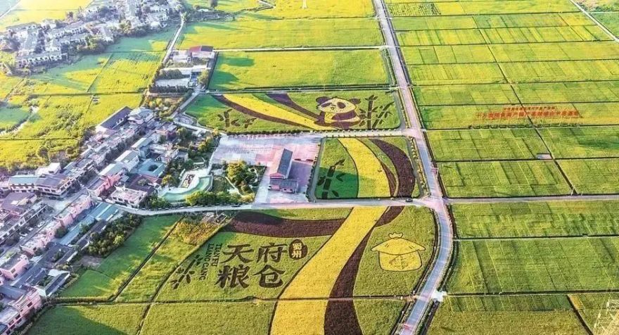 设计服务县市新城高质量发展丨智库力量赋能“天府粮仓”和片区规划,助推崇州高质量发展-11