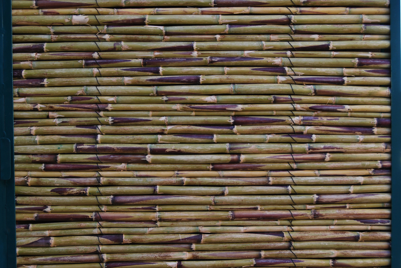 Ouled Merzoug早教学校,摩洛哥 / BC architects-106