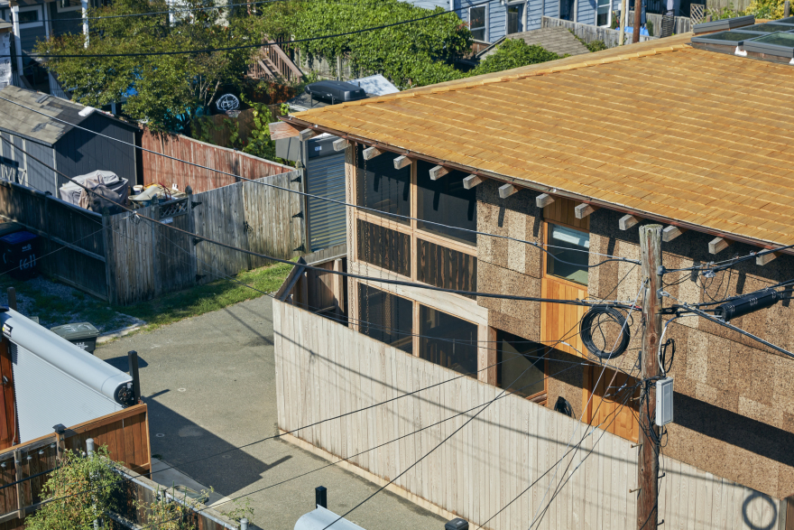 杨树丛丨美国华盛顿丨BLDUS-40