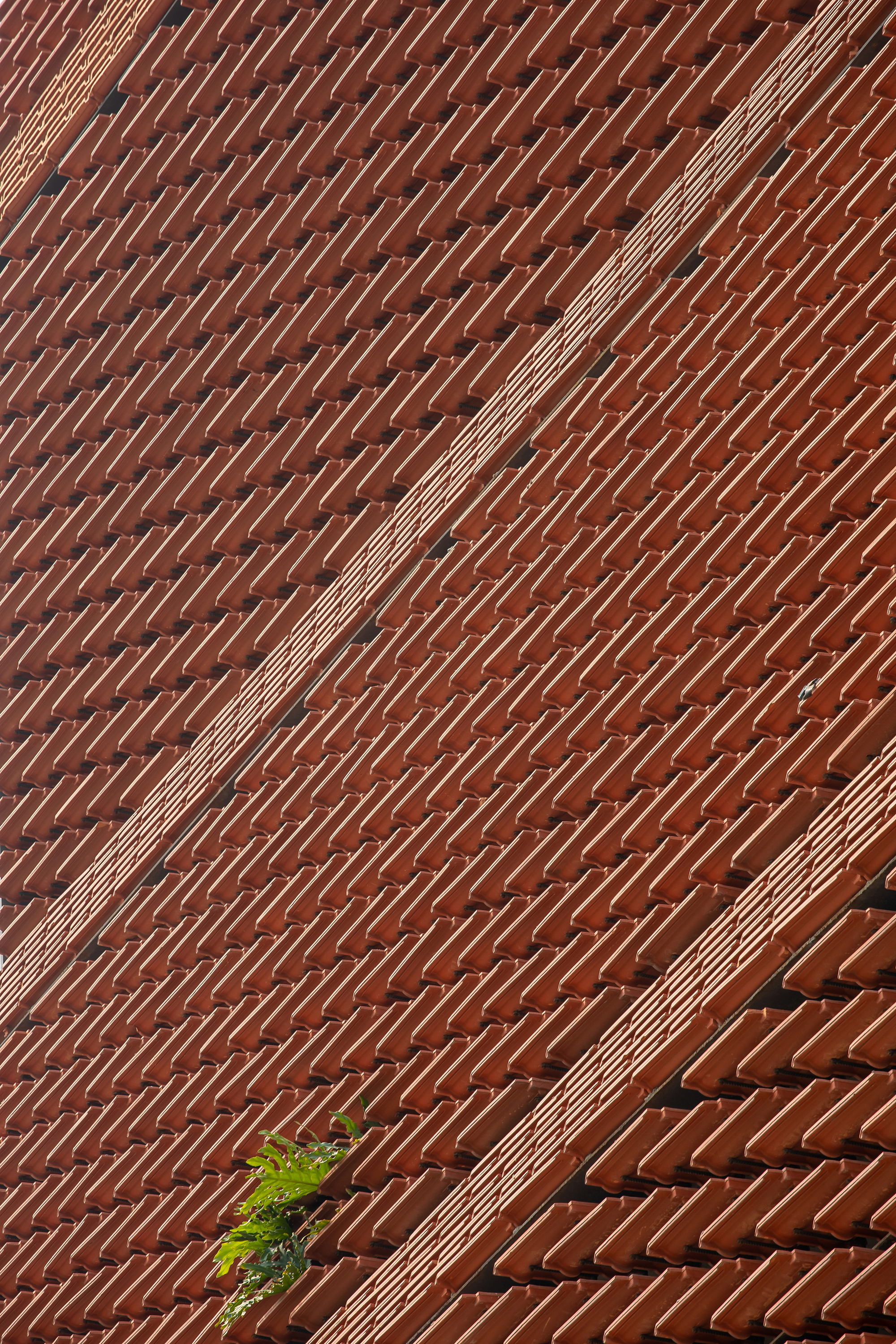 热带风情；热带律动（二者在不同语境中均可准确表意，若仅选一个，可根据具体语境选择热带风情） 丨越南河内丨H&P Architects-54