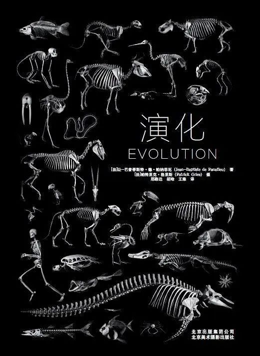 疫情下的设计生活 | 沉下心来，阅读与思考-425