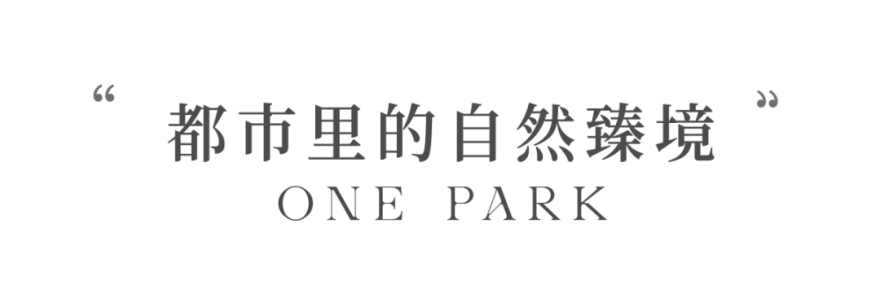 名邦公园一品丨中国合肥丨矩阵纵横-1