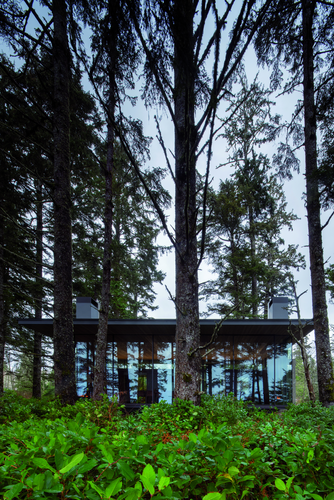 加拿大 Tofino 海滩别墅 | 融入自然的宁静空间-30