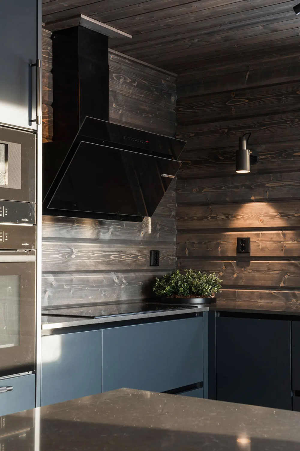 现代 Scandinavian 暗色调木屋设计-11