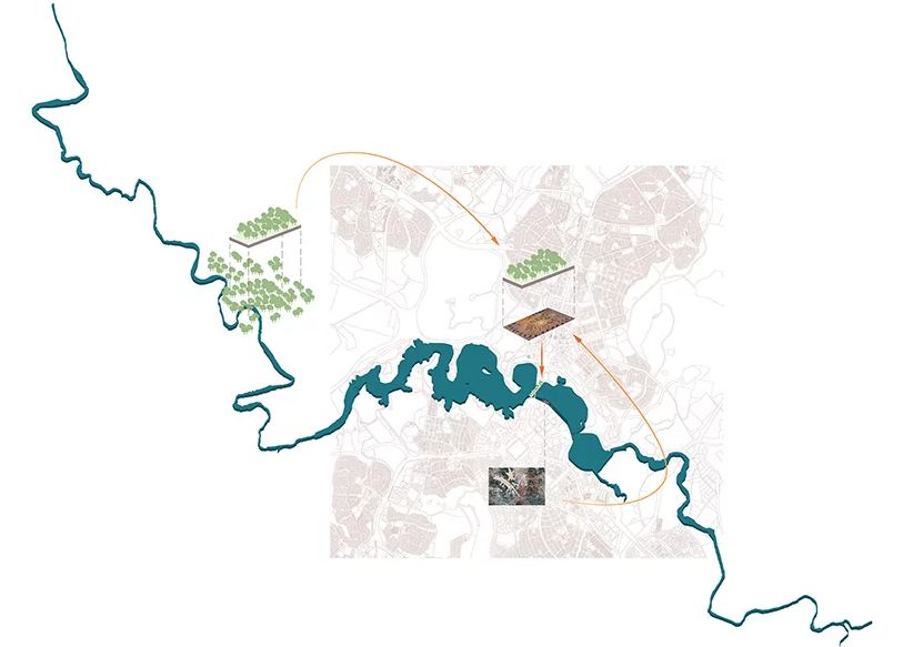 生态飘带景观桥丨澳大利亚堪培拉丨CX landscape-8