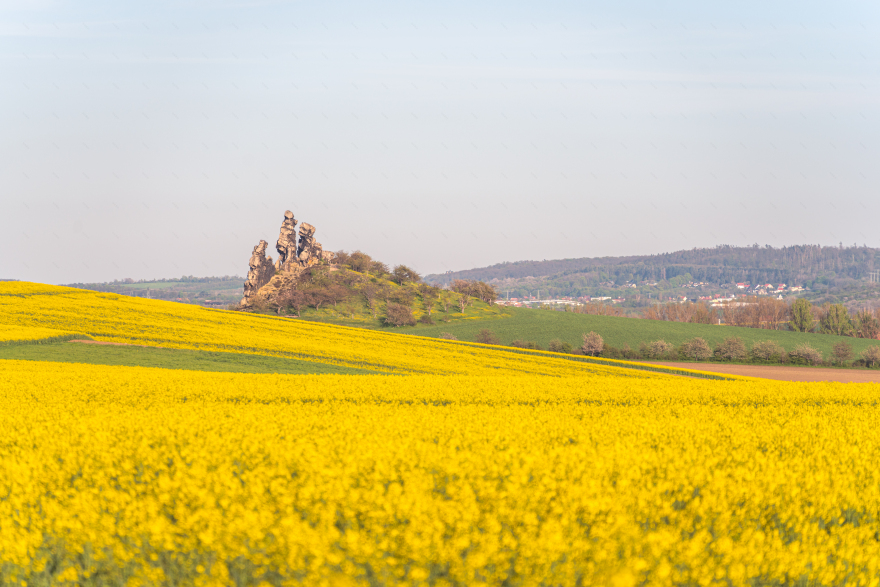 哈茨山樱花春日童话景观体验丨德国-22