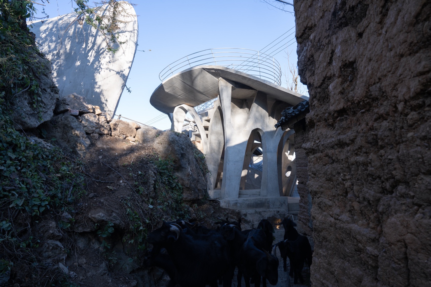 蘑菇蘑菇儿童书屋丨中国大理丨孔祥伟工作室-20