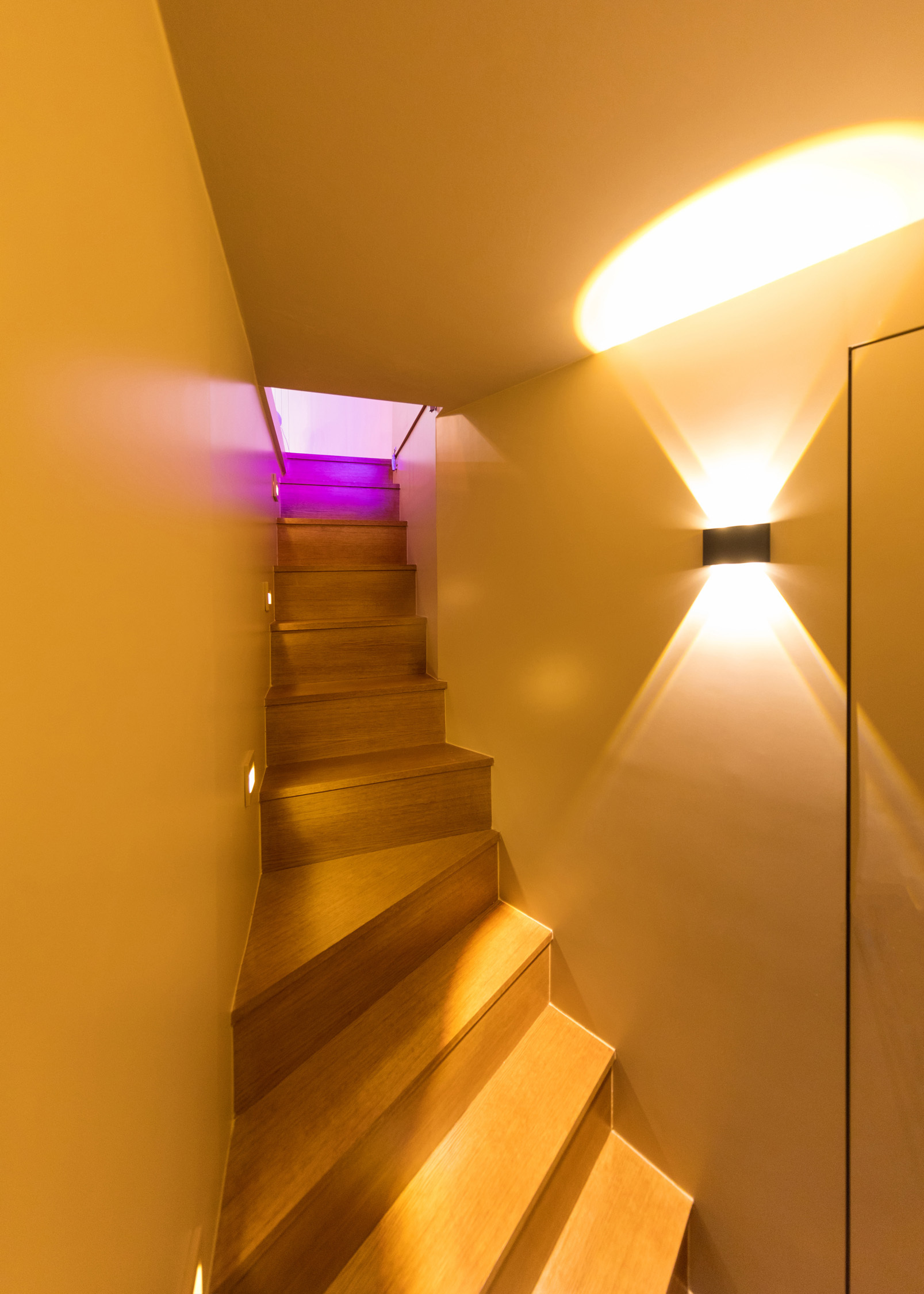 同一种类的两套公寓丨新加坡丨WYTO architects-27