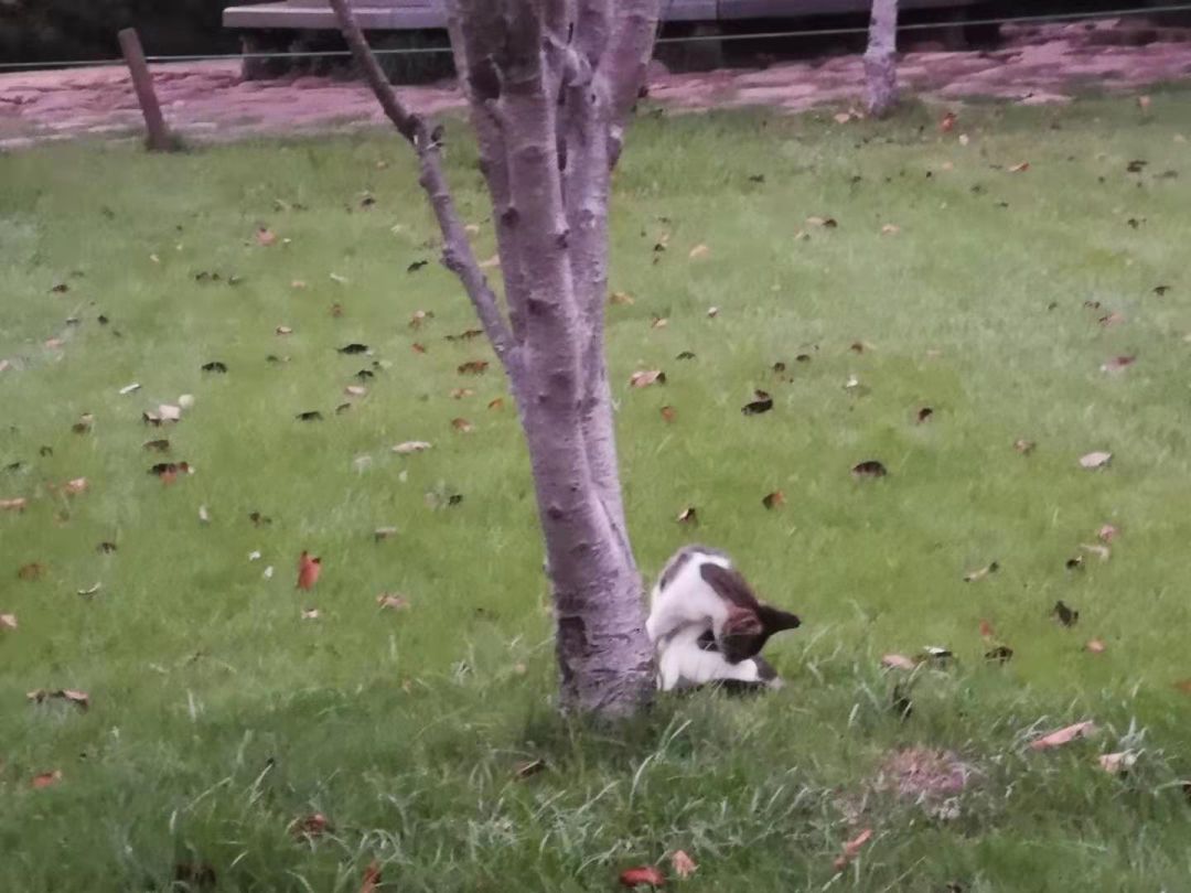 杭州“天堂”的“矫情”生活-15