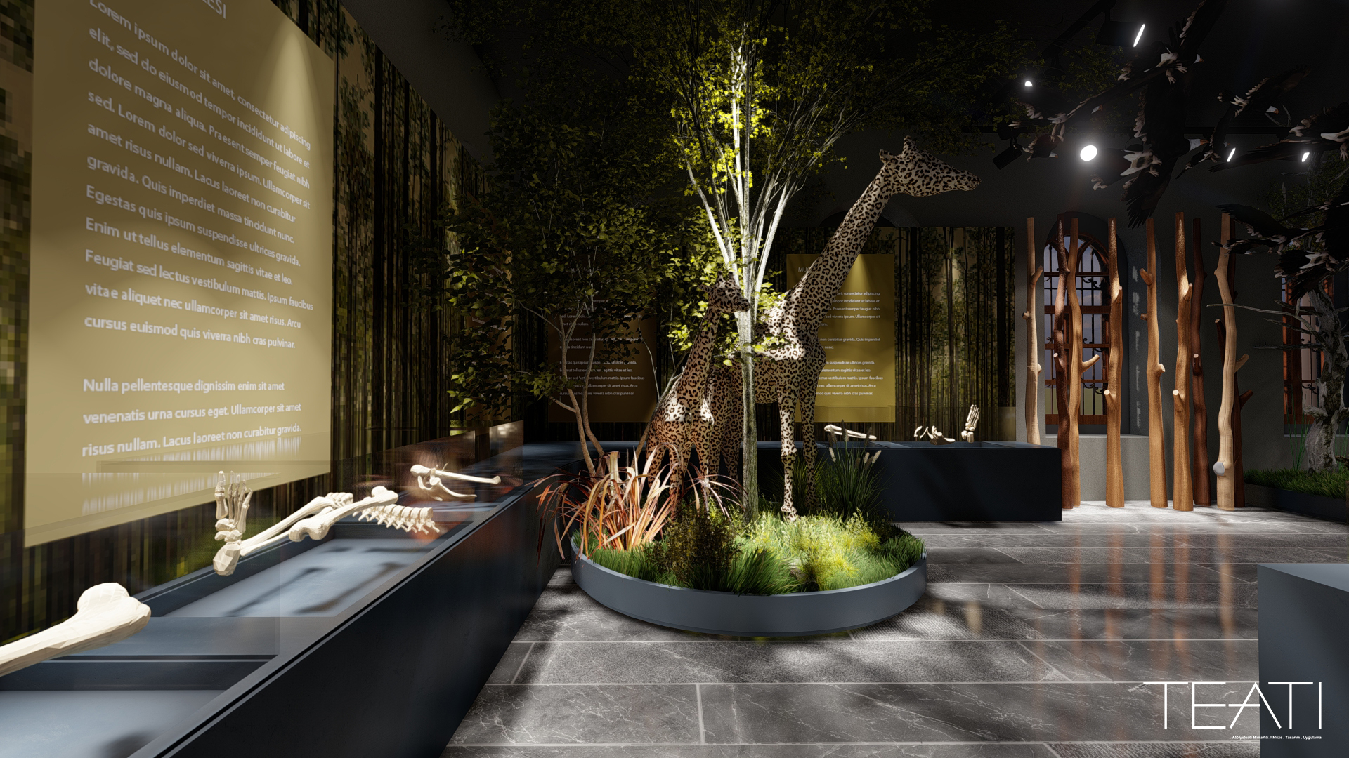 Muğla Geology and Archeology Museum II / Turkey-2