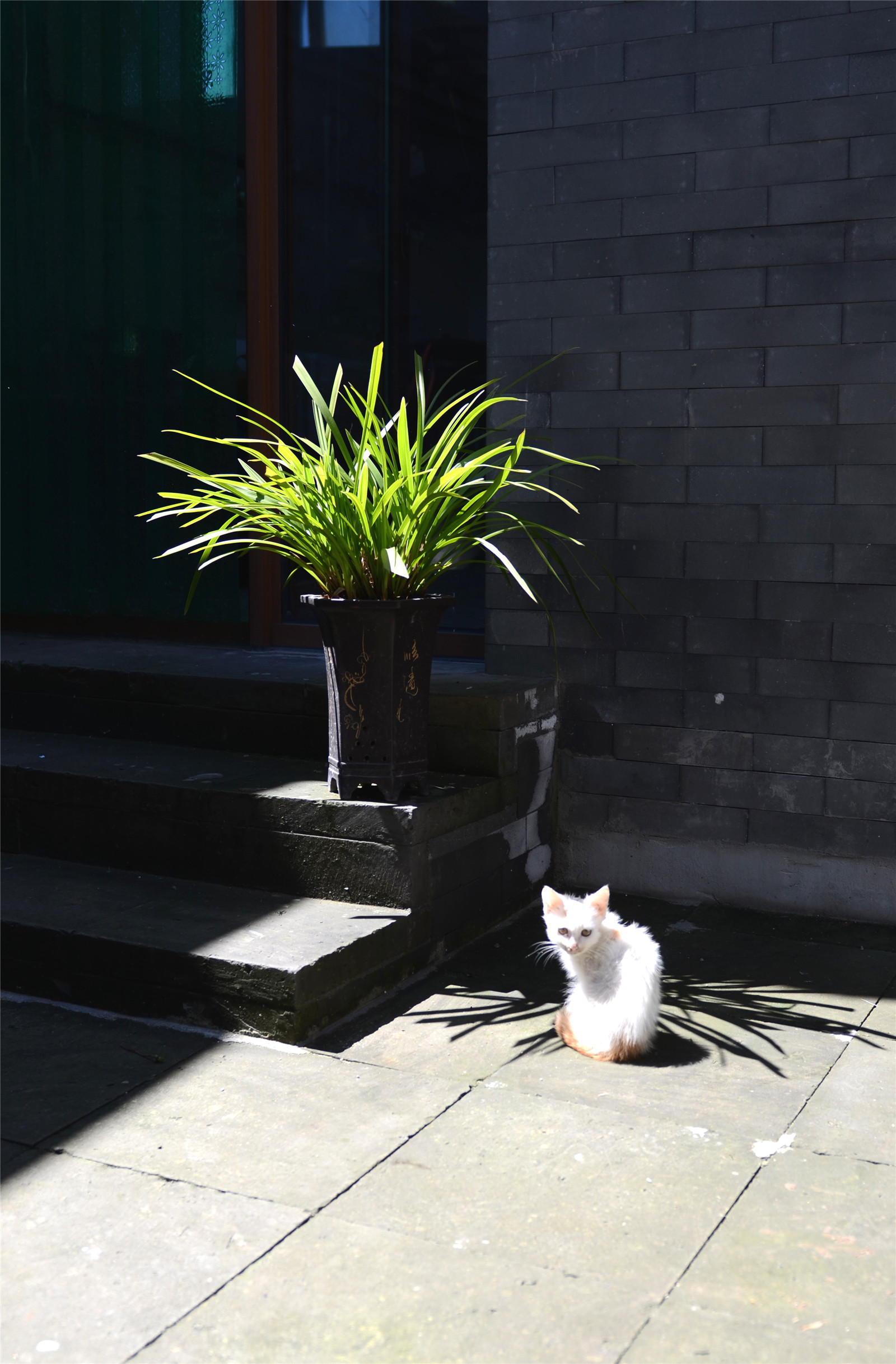 河北白洋淀民居改造-20