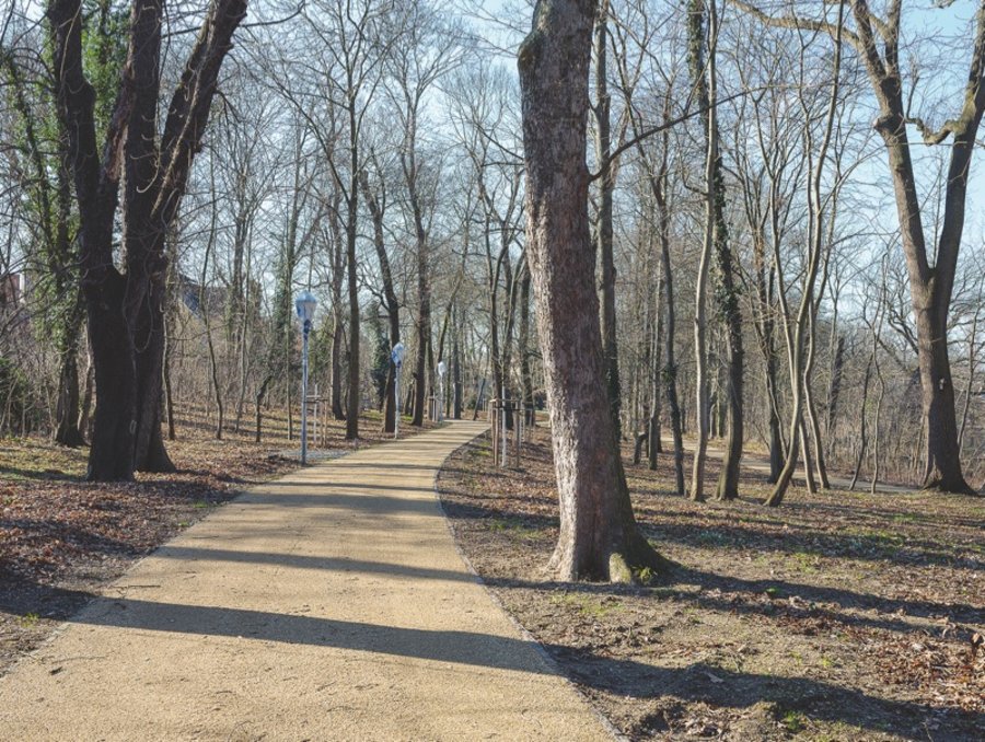 “Junge Gärten Torgau”（图尔高年轻花园）丨德国丨Station C23（莱比锡工作室）-27