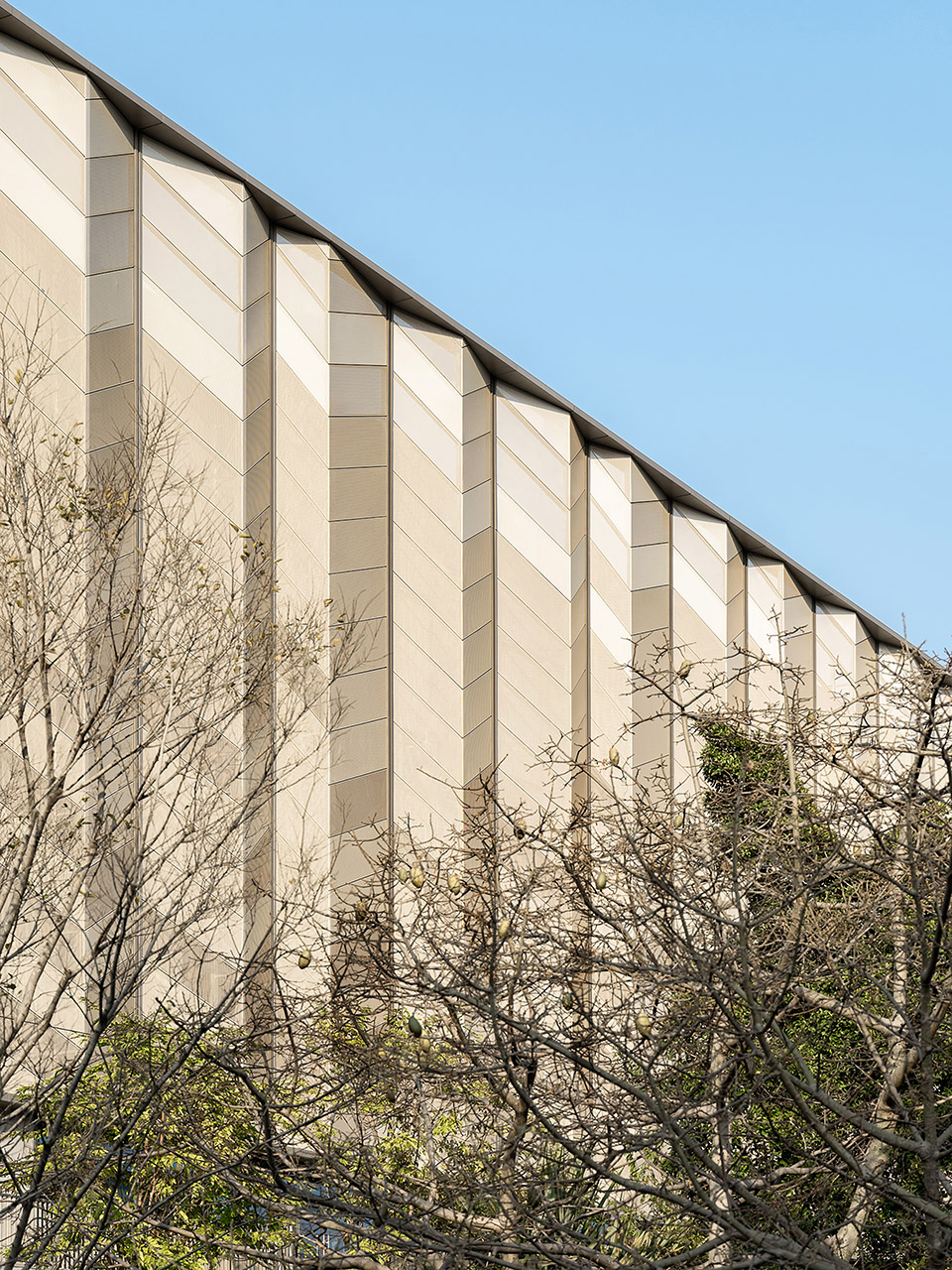 华南农业大学综合体育馆丨中国广州丨华南理工大学建筑设计研究院有限公司-181