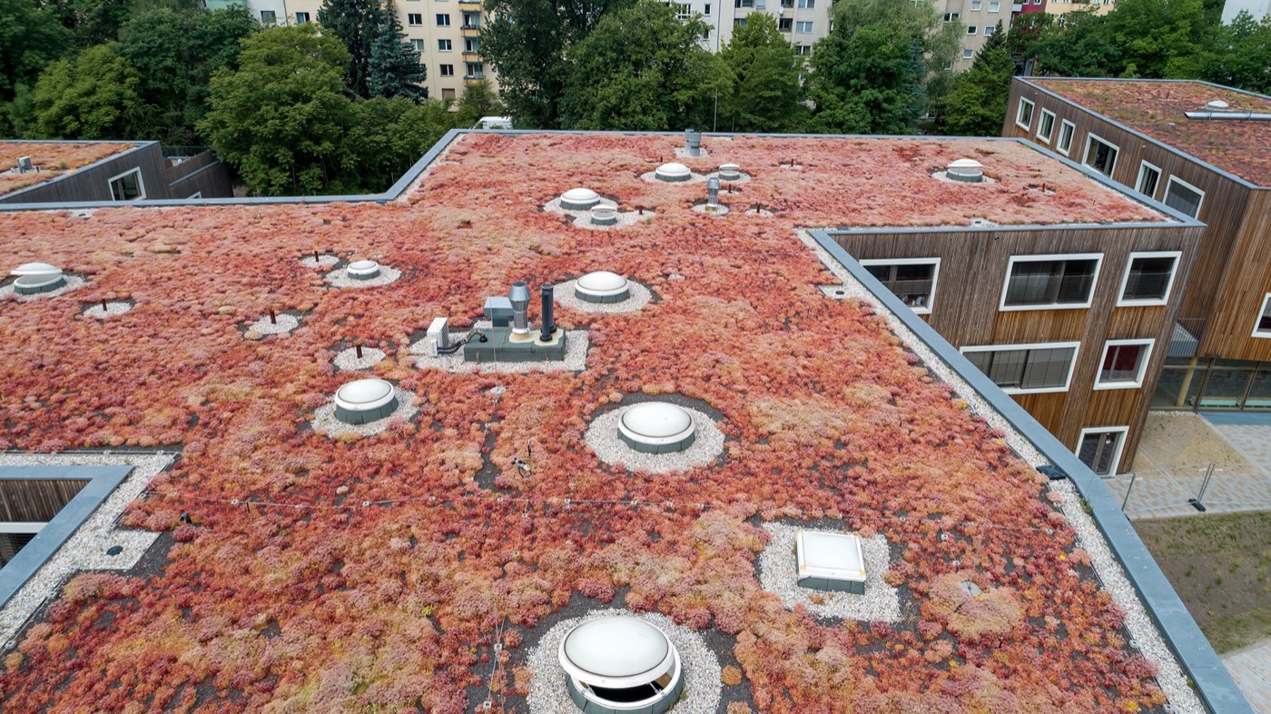 柏林新瓦尔德福学校校园丨德国柏林丨柏林 Kersten + Kopp 建筑事务所-10