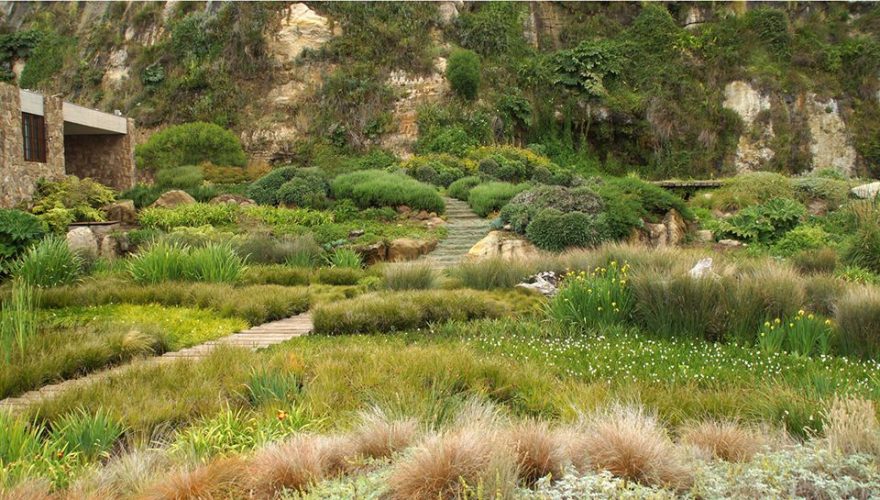 智利 Las Brisas 住宅,重构沿海别墅区的生态景观-11