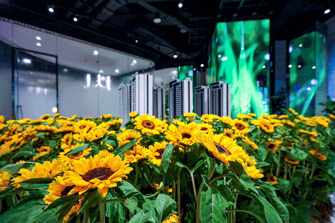 瑞虹生长馆及展示样板间丨中国上海-5