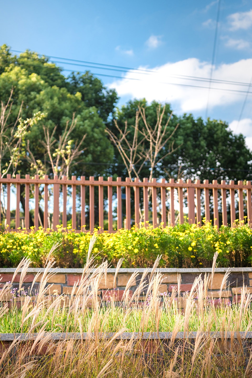 斗山塘景观设计丨苏州园科生态建设集团有限公司-38