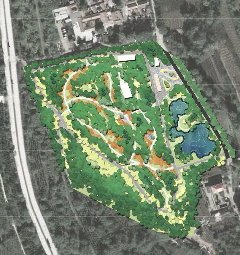 当杏园再着新妆 | 风林杏苑绿化项目建成小记-3