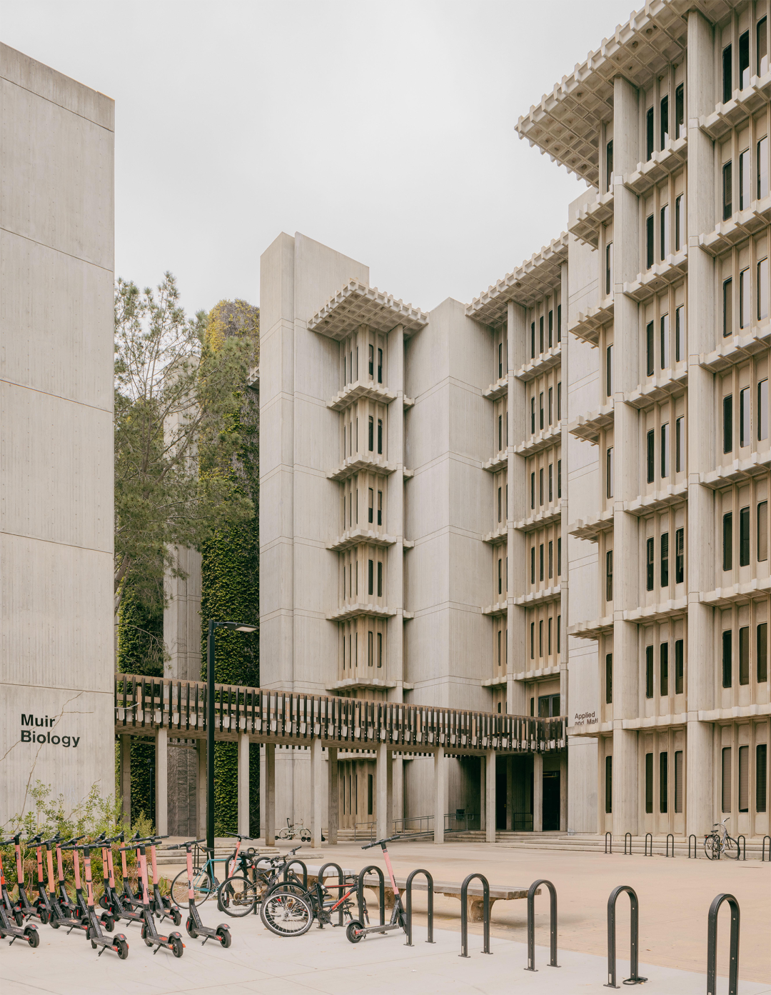 皇家国家剧院丨英国伦敦丨Denys Lasdun-91